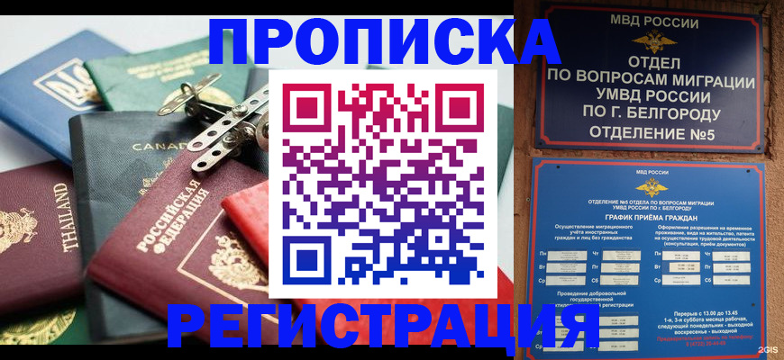 временная регистрация недорого в Чапаевске